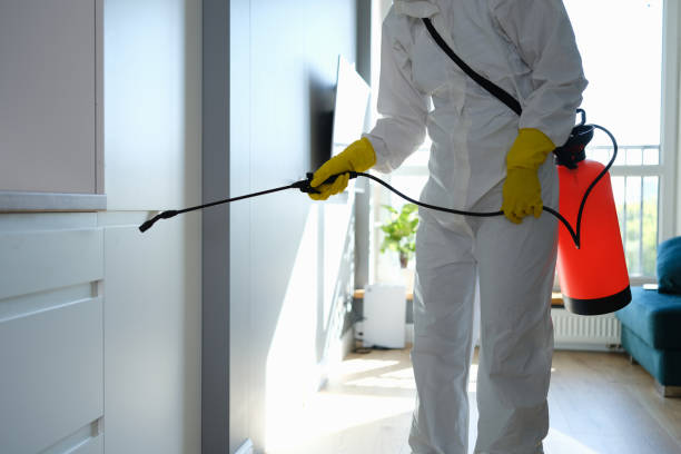 Attic Mold Removal in Sedona, AZ